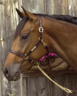 PERRIS LEATHER Perri’s® 3/4