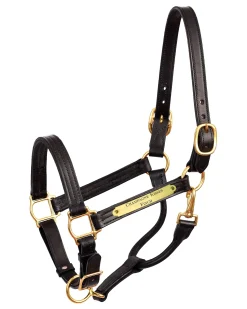 PERRIS LEATHER Perri’s® 1" XL Stallion Premium Leather Show Halter with Nameplate- Stable & Stall Accessories|Halters