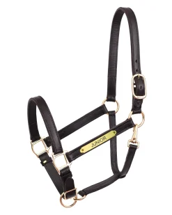 PERRIS LEATHER Perri’s® Draft Leather Turnout Halter- Halters