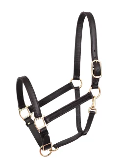 PERRIS LEATHER Perri’s® Leather Turnout Halter- Halters