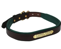 PERRIS LEATHER Perri’s® Padded Leather Nameplate Dog Collar- Collars & Leashes