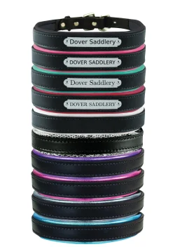 PERRIS LEATHER Perri’s® Padded Leather Nameplate Dog Collar- Collars & Leashes