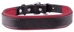 PERRIS LEATHER Perri’s® Padded Leather Nameplate Dog Collar- Collars & Leashes