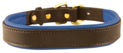 PERRIS LEATHER Perri’s® Padded Leather Nameplate Dog Collar- Collars & Leashes