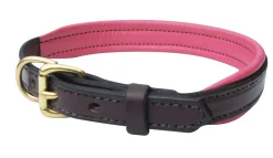 PERRIS LEATHER Perri’s® Padded Leather Nameplate Dog Collar- Collars & Leashes