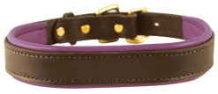 PERRIS LEATHER Perri’s® Padded Leather Nameplate Dog Collar- Collars & Leashes
