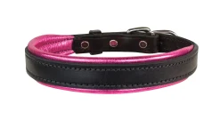PERRIS LEATHER Perri’s® Padded Leather Nameplate Dog Collar- Collars & Leashes