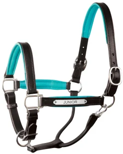 PERRIS LEATHER Perri’s® Padded Leather Pony Halter with Nameplate- Halters