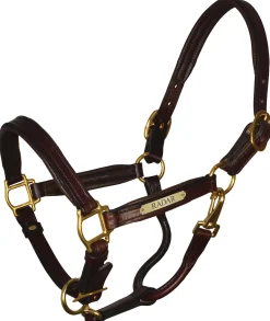 PERRIS LEATHER Perri’s® Padded Leather Pony Halter with Nameplate- Halters