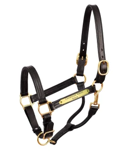 PERRIS LEATHER Perri’s® Premium 1" Leather Show Halter with Nameplate- Halters