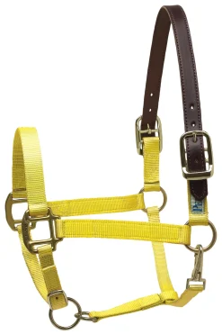 PERRIS LEATHER Perri’s® Premium Nylon Breakaway Halter- Halters