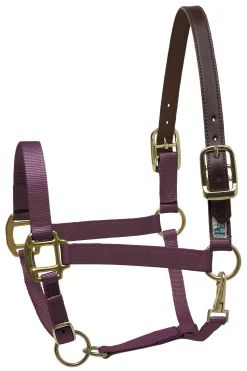 PERRIS LEATHER Perri’s® Premium Nylon Breakaway Halter- Halters