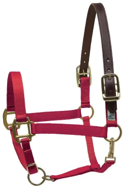 PERRIS LEATHER Perri’s® Premium Nylon Breakaway Halter- Halters