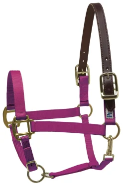 PERRIS LEATHER Perri’s® Premium Nylon Breakaway Halter- Halters