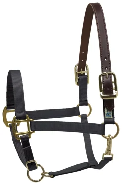 PERRIS LEATHER Perri’s® Premium Nylon Breakaway Halter- Halters