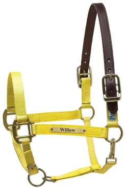 PERRIS LEATHER Perri’s® Premium Nylon Safety Halter with Nameplate- Halters