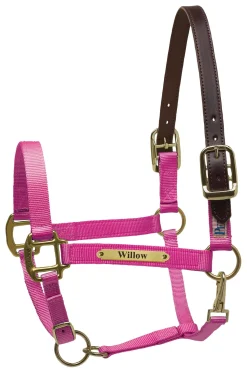 PERRIS LEATHER Perri’s® Premium Nylon Safety Halter with Nameplate- Halters