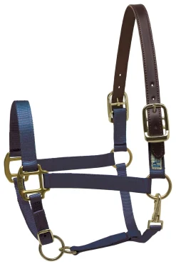 PERRIS LEATHER Perri’s® Premium Nylon Safety Halter with Nameplate- Halters
