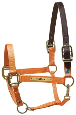 PERRIS LEATHER Perri’s® Premium Nylon Safety Halter with Nameplate- Halters