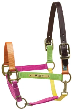 PERRIS LEATHER Perri’s® Premium Nylon Safety Halter with Nameplate- Halters