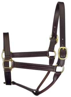 PERRIS LEATHER Perri’s® Premium Track Style Show Halter- Halters