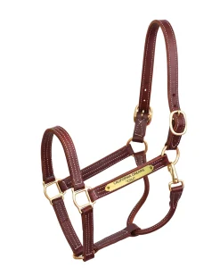 PERRIS LEATHER Perri’s® Professional Halter with Nameplate- Halters
