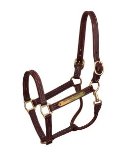 PERRIS LEATHER Perri’s® Professional Halter with Nameplate- Halters