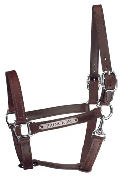 PERRIS LEATHER Perri’s® Track Style Leather Turnout Halter with Snap Throat and Nameplate- Halters