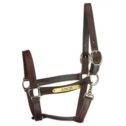 PERRIS LEATHER Perri’s® Track Style Leather Turnout Halter with Snap Throat and Nameplate- Halters