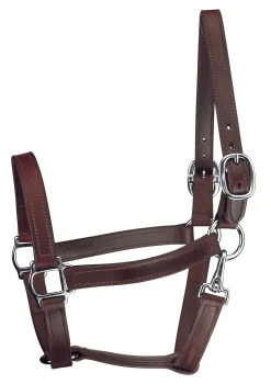 PERRIS LEATHER Perri’s® Track Style Turnout Halter with Snap- Halters