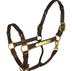 PERRIS LEATHER Perri’s® Twisted Leather Halter with Nameplate- Halters