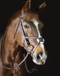 ERS Pessoa® Pro Fancy-Stitched Figure-8 Bridle- English Bridles
