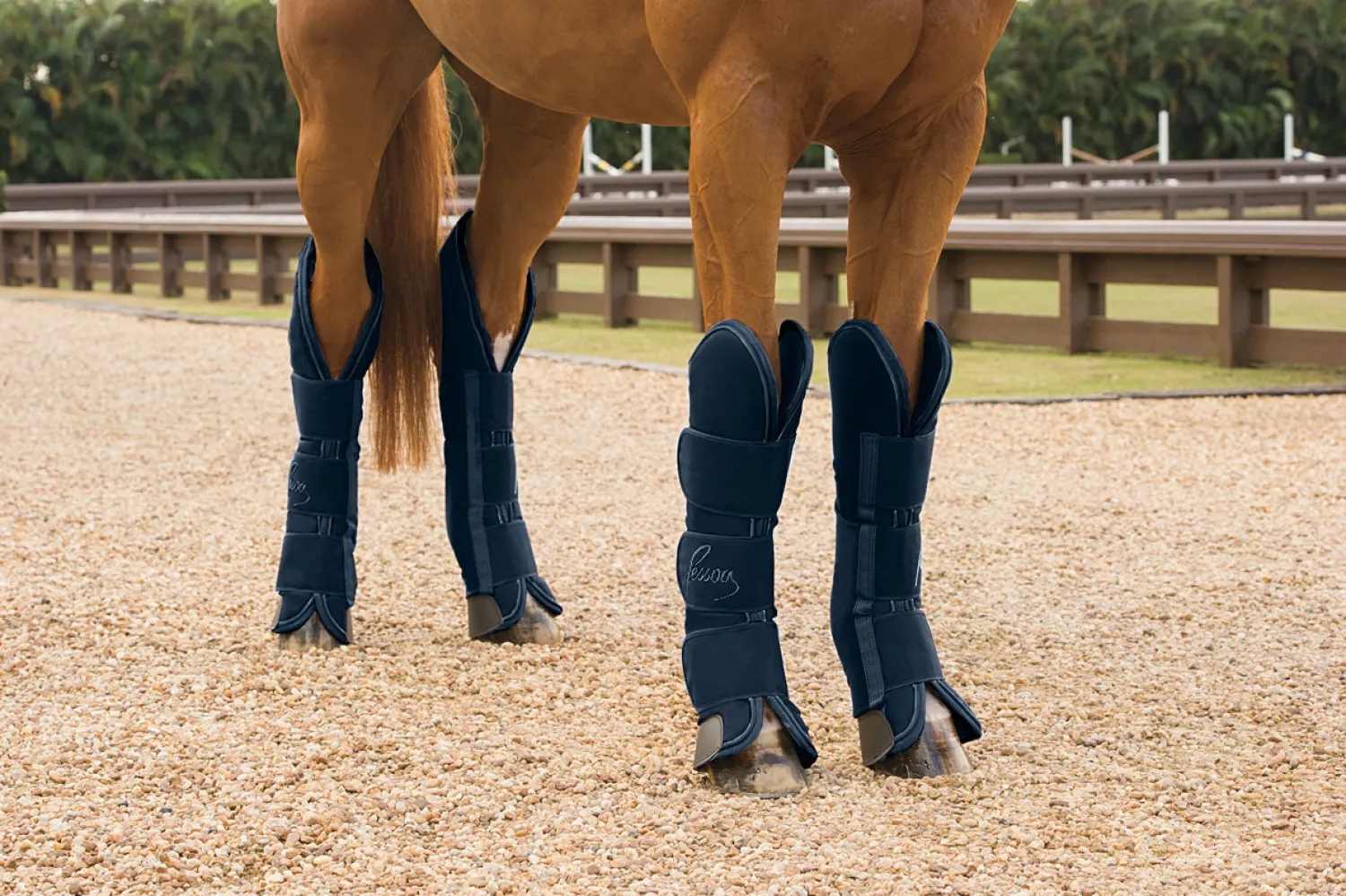 ERS Pessoa Shipping Boots- Trailering