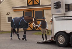 VAC S BANDAGE CO Pony Stable Bandages- Bandages|Horse Leg Wraps