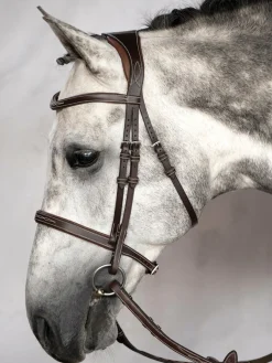 PS OF SWEDEN Ocala Hunter Bridle- English Bridles