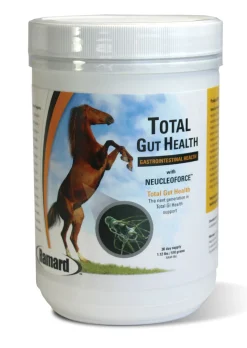 ANIMAL HEALTH INT Ramard Total Gut Health Supplement- Horse Supplements