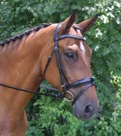 KL SELECT Red Barn Topline Bridle- English Bridles