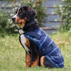 INTEX EQUESTRIAN Rider’s International™ Dog Cooler- Dog Blankets