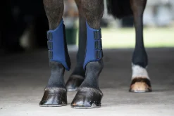 TEXT HORSE Rider’s International™ All-Purpose Galloping Boots- Horse Boots