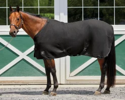 INTEX EQUESTRIAN Rider’s International™ Chill Chaser- Horse Coolers