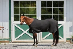 INTEX EQUESTRIAN Rider’s International™ Chill Chaser- Horse Coolers