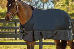 S.K. EXPORTS Rider’s International™ 600D Reflective Turnout Sheet- Turnout Sheets