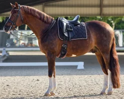 GLOBAL EXPORTS Rider’s International™ Luxury Dressage Pad- Dressage Pads|Close Contact Saddle Pads