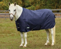 S.K. EXPORTS Rider’s International™ Pony Turnout Sheet- Turnout Sheets