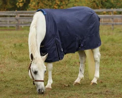 S.K. EXPORTS Rider’s International™ Pony Turnout Sheet- Turnout Sheets