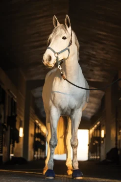 SHIVAM Rider's International™ Rubber Hook-and-Loop Bell Boots- Bell Boots|Bell Boots