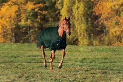 CWEAR BRANCH Rider’s International™ Supreme Heavyweight Turnout Blanket- Turnout Blankets