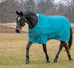 CWEAR BRANCH Rider’s International™ Supreme Heavyweight Turnout Blanket- Turnout Blankets