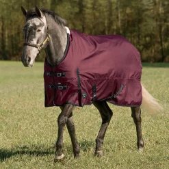 CWEAR BRANCH Rider’s International™ Supreme Heavyweight Turnout Blanket- Turnout Blankets