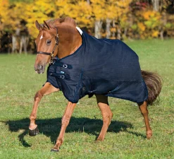 CWEAR BRANCH Rider’s International™ Supreme 100 Gram Turnout Blanket- Turnout Blankets